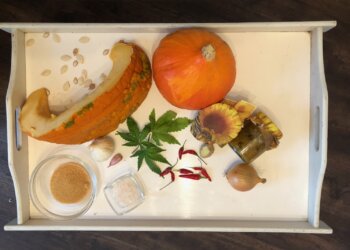 Kürbis-Hanf-Chutney -2